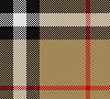 1239 Burberry Check