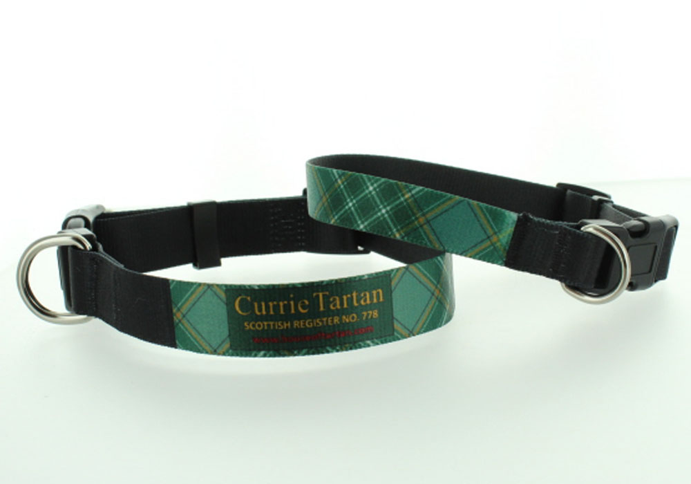 Dog Collars in Currie Modern, Large and Small